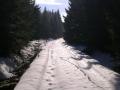 Agroturystyka Nad Potokiem