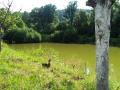 Agroturystyka Nad Potokiem