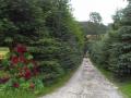 Agroturystyka Nad Potokiem