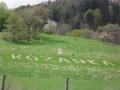 Agroturystyka Nad Potokiem