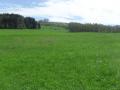 Agroturystyka Nad Potokiem
