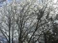 Agroturystyka Nad Potokiem